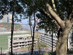 -大渡口区义渡公园