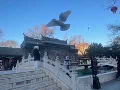 -荣国府