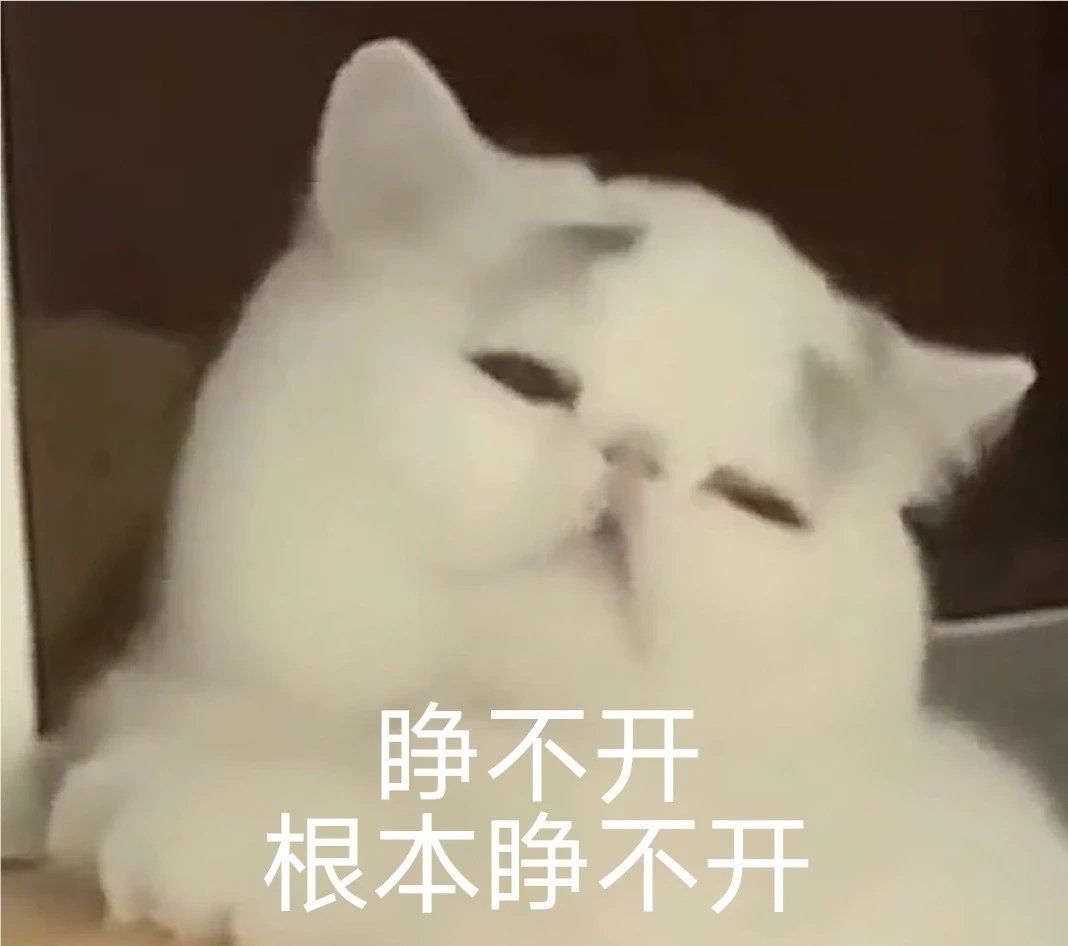 一到工位,昏昏欲睡
睁不开,根本睁不开
困死了
#不想上班表情包