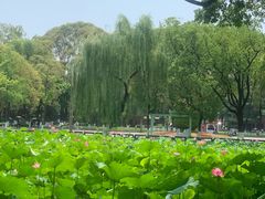 -四川大学(望江校区)