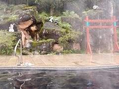 -中铁花水湾温泉酒店(大邑店)