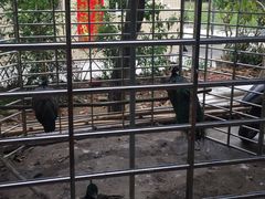 -贤鲁岛贤溪农庄