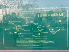 -紫金山山顶公园