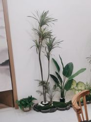 -御品•瑶浴灸疗SPA