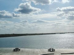 -盐城丹顶鹤湿地生态旅游区