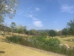-牛岗山公园