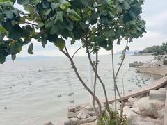 -深圳湾公园(南山区)
