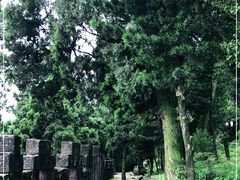 -金堂县云顶石城风景区