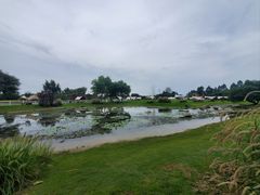 -夏河溪乡野公园