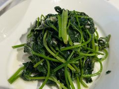 地瓜秧尖-眉州东坡(华联万柳店)