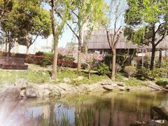 -陈家山荷花公园
