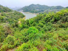 景点-阳台山森林公园
