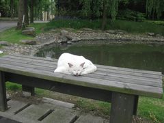 -苏州河梦清园环保主题公园