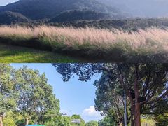 -东钱湖旅游度假区