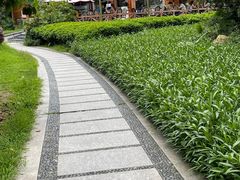 -海珠湖公园