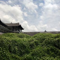 -成都飞越丛林探险乐园(锦绣城园区)