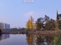 -成都南湖公园