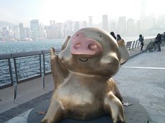 -星光大道