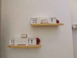 -采之汲·云南白药集团