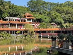 -深圳仙湖植物园