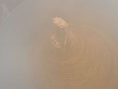 -咕嘟草帽鱼·牛奶一样的鲜鱼汤(包河万达广场创始店)