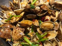 辣炒红岛花蛤-开海·红岛海鲜虾水饺(石老人店)