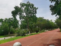 -金银湖国家城市湿地公园