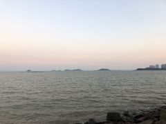 -野狸岛