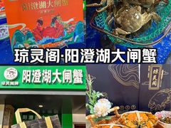 -阳澄湖大闸蟹·琼灵阁牌品牌连锁(吴中总店)