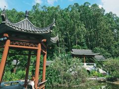 -广州神农草堂中医药博物馆