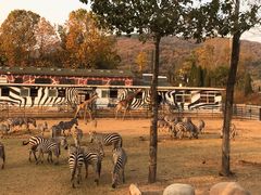 -大连森林动物园
