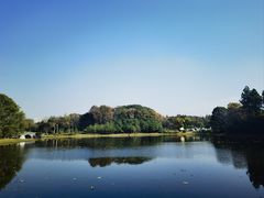 -长广溪湿地公园