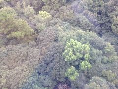 iphone_upload_pic-普陀山佛顶山索道