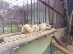 -昆明动物园