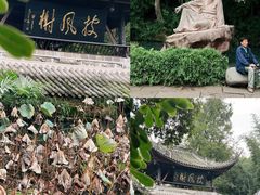 -马旺子酒楼