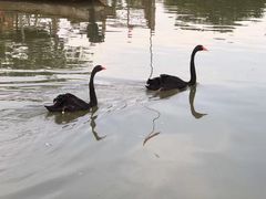 -艾溪湖湿地公园