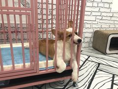 -白夜2D咖啡馆