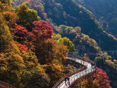 -少华山国家森林公园