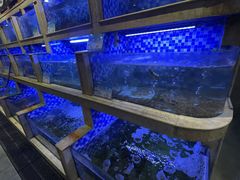 -老蒲鲜·地标·非遗美食(涵江店)