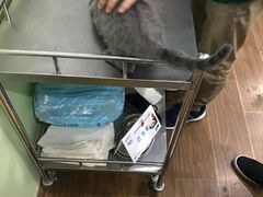 -守诺宠物医院·眼科· 特色牙科·异宠专科(虹口店)
