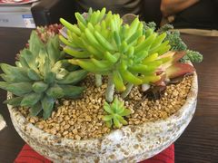 -肆兮眼镜·蔡司·徕卡战略合作店(大坪店)