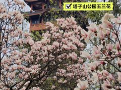 -塔子山公园