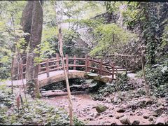 -火炉山森林公园