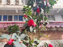 -西安创业咖啡街区