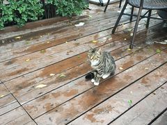 -有才叔的小馆(招商依云曲江店)