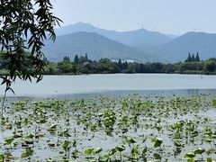 -长田漾湿地公园