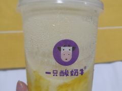 -一只酸奶牛(八一路店)