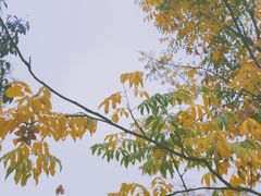-钟山体育运动公园