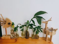 -朴境采耳·足道按摩(科学大道旗舰店)