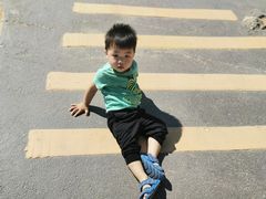 -广东惠东海龟国家级自然保护区
